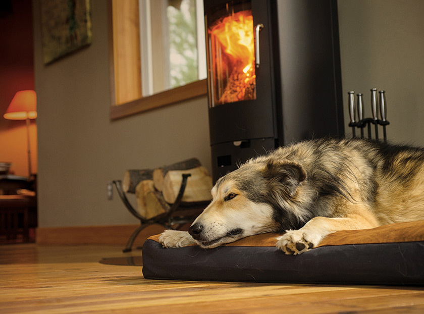 Ruffwear Urban Sprawl Dog Bed