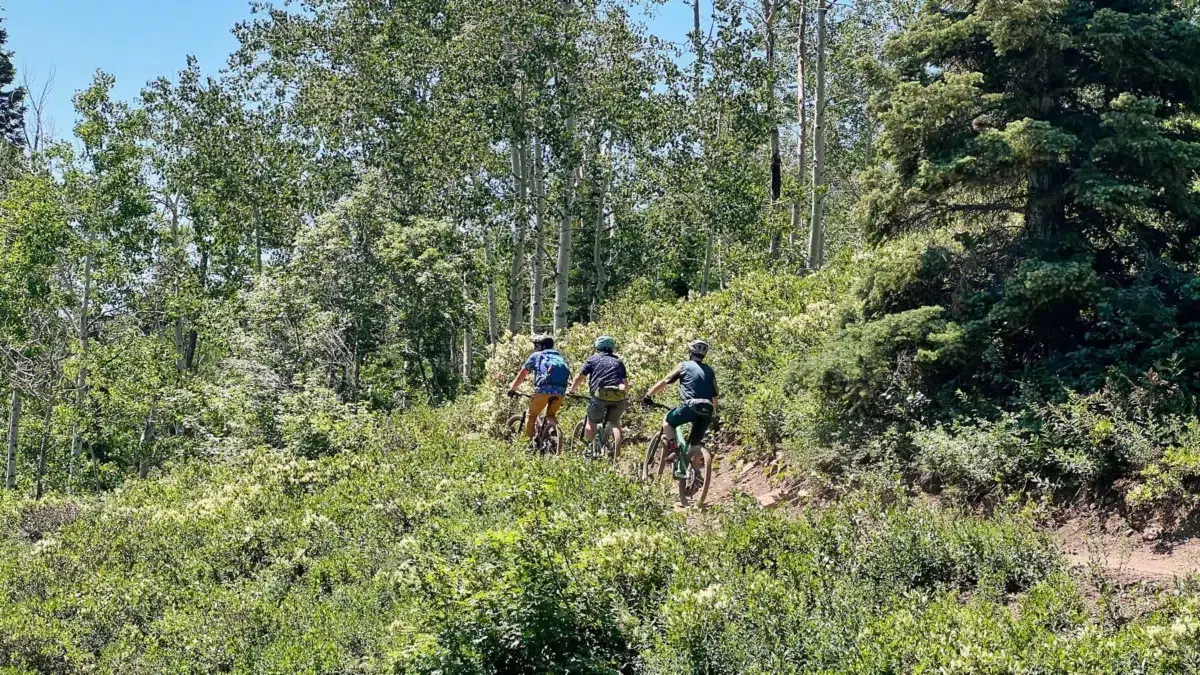 Slate Creek Trails