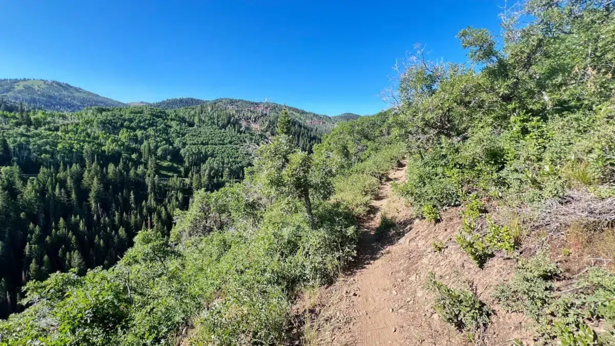 Mid Mountain Trail