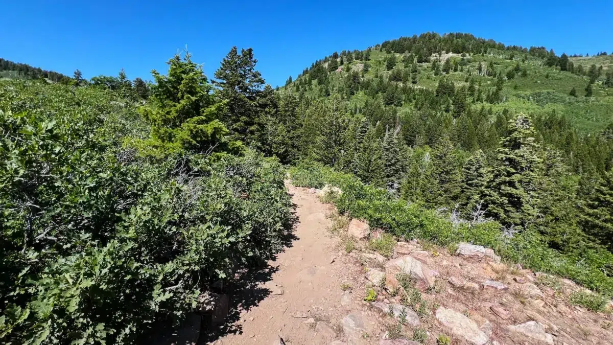 Park City Mountain