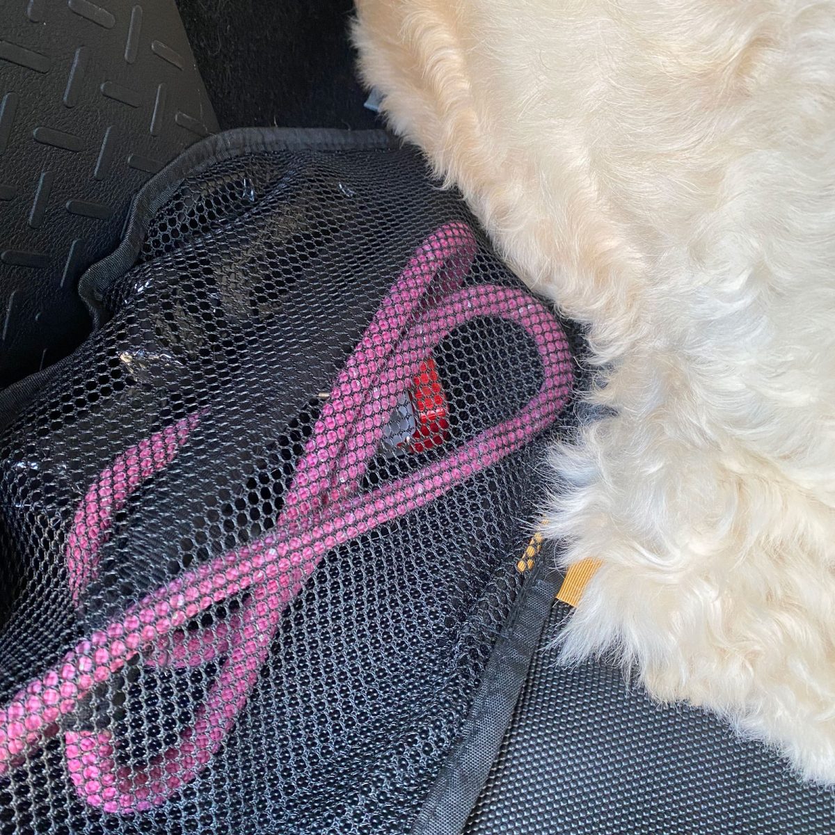 Mesh Pockets