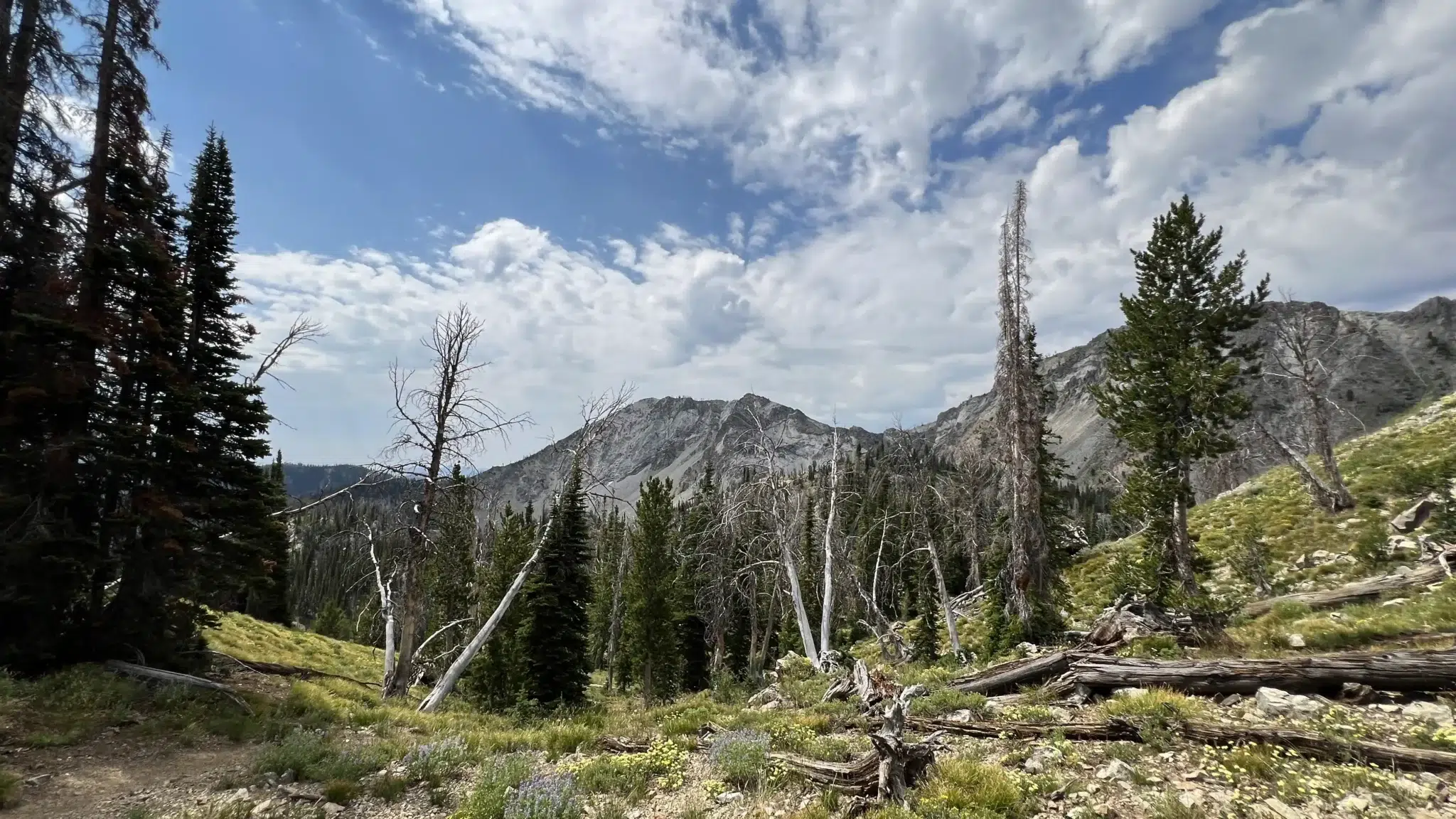Sawtooth Mountains in Sun Valley