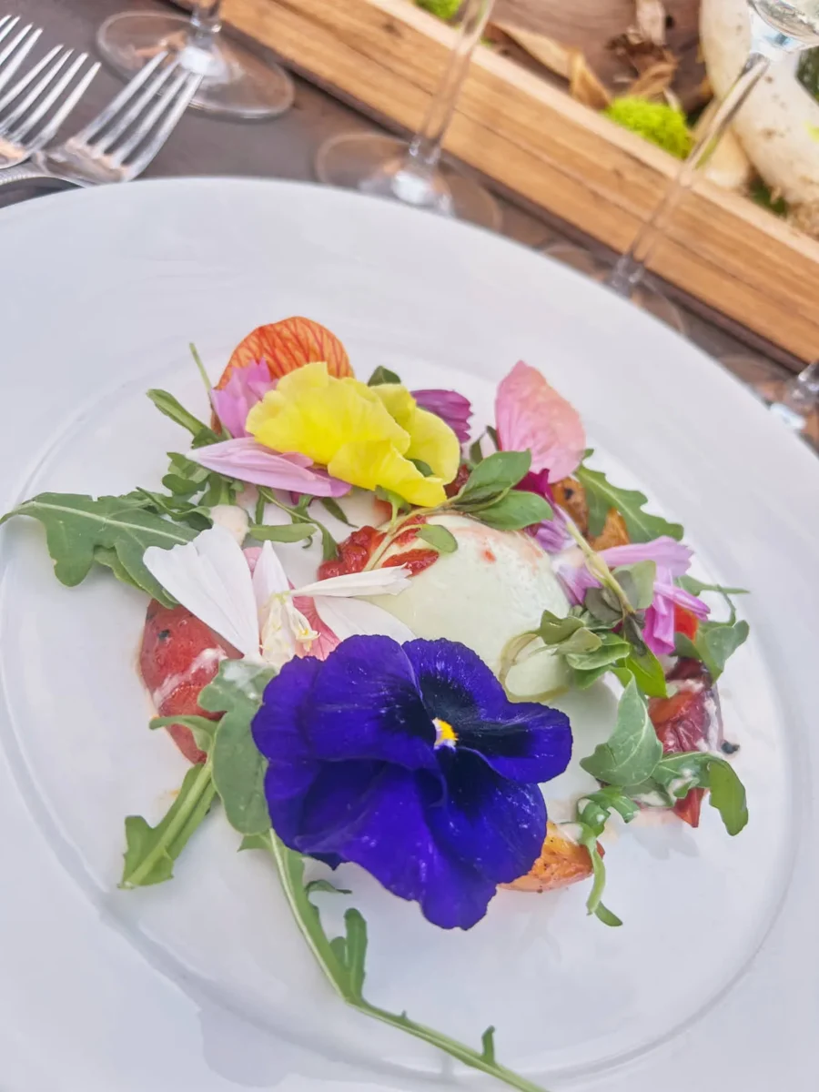 Savor the Summit Dinner
