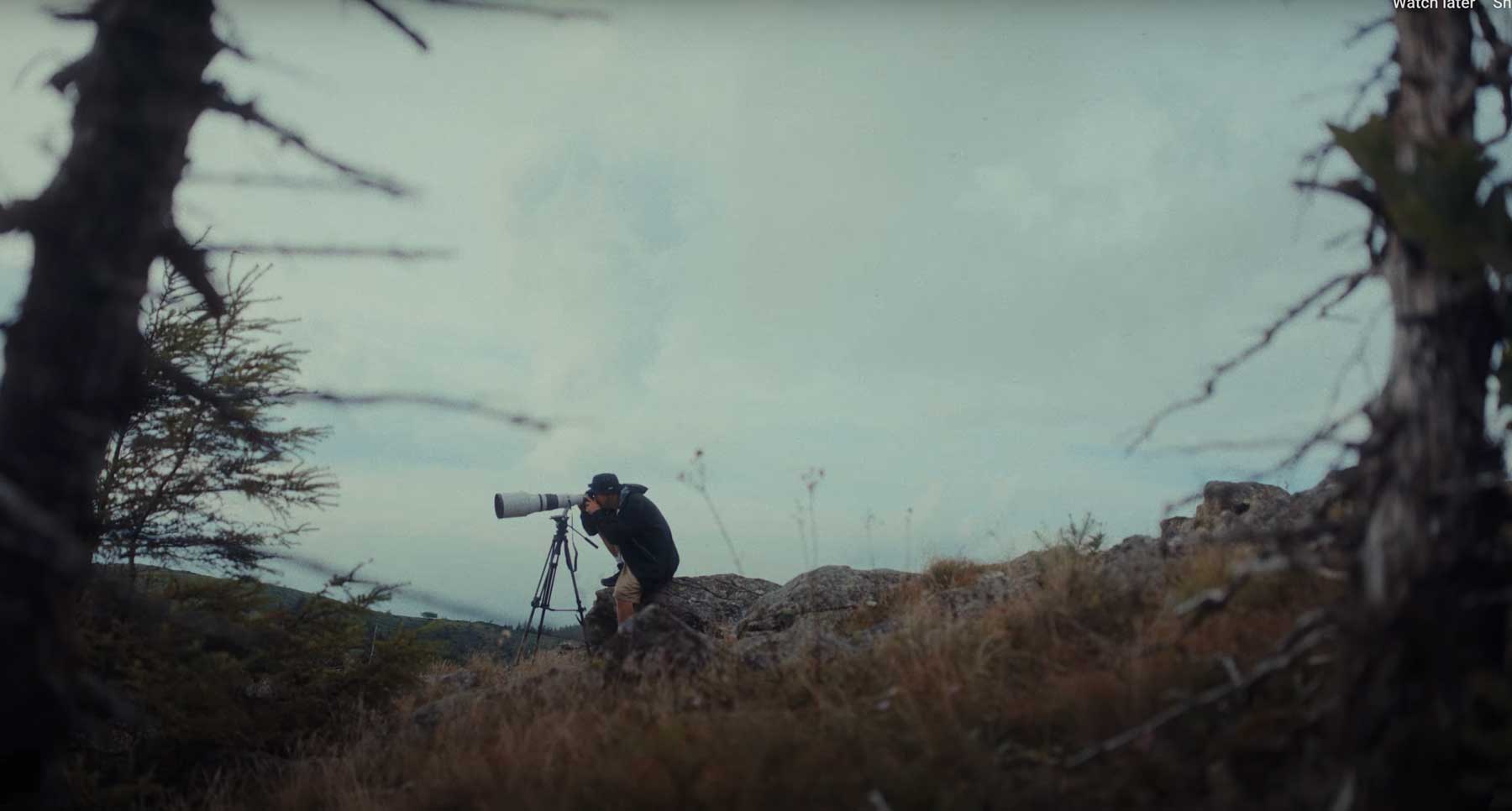 Canon EOS R6 Mark III Mirrorless Camera