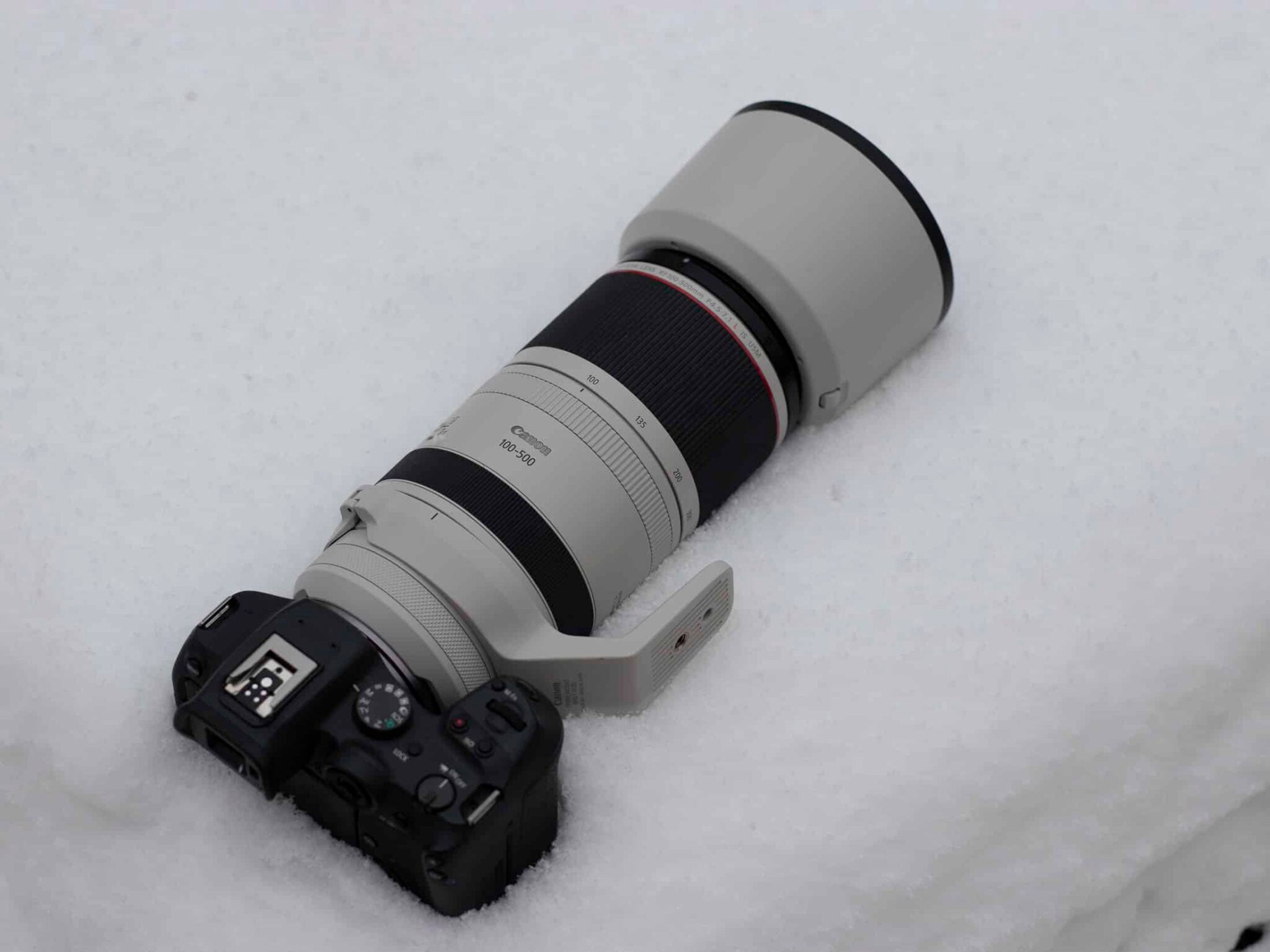 Canon R7 Review | Entry Level Professional Quality & Mirrorless